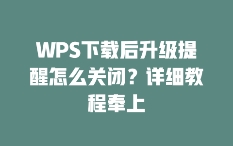 WPS下载后升级提醒怎么关闭?详细教程奉上 二